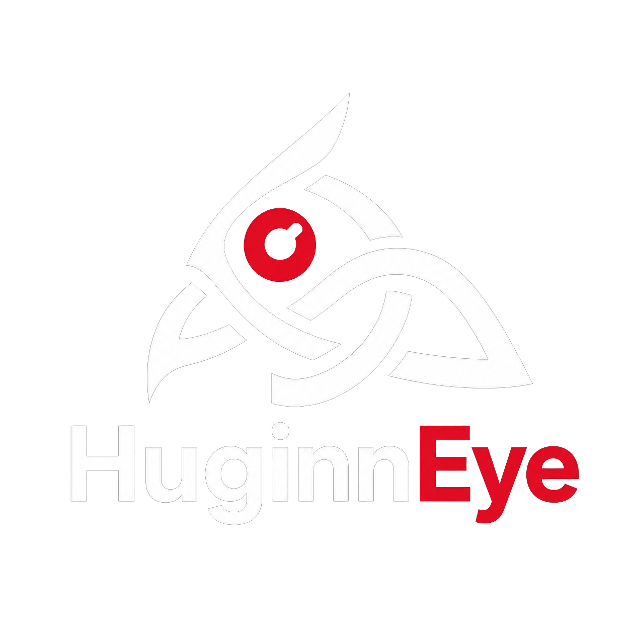 HuginnEye logo